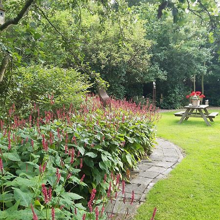 Rest En Romte Bed & Breakfast Birdaard Luaran gambar